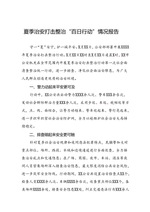 2024年夏季治安打击整治行动情况报告九篇.docx