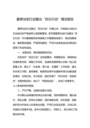 十二篇公安2024年夏季治安打击整治情况报告.docx