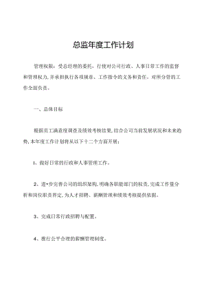 总监年度工作计划.docx