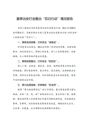 派出所2024年开展夏季治安打击整治行动情况报告17篇.docx