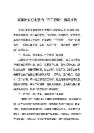 2024年派出所深入推进夏季治安打击整治“百日行动”总结报告23篇.docx