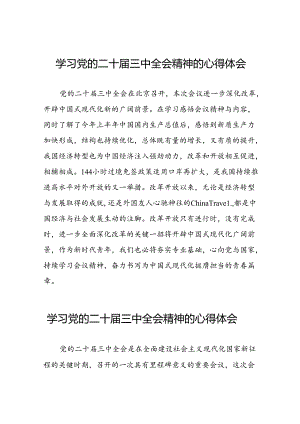(最新版)学习2024年党的二十届三中全会精神的心得体会三十篇.docx