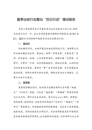 公安交警推进2024年夏季治安打击整治行动情况报告十二篇.docx