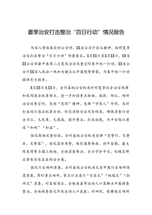 2024年夏季治安打击整治“百日行动”情况报告三篇.docx