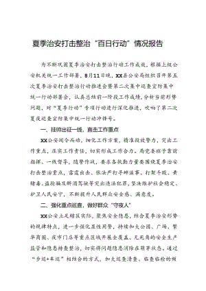 公安深入推进夏季治安打击整治行动情况报告三篇.docx