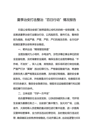十八篇2024年公安开展夏季治安打击整治行动总结报告.docx