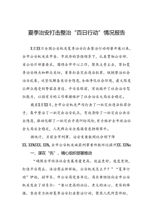 十八篇2024年公安机关夏季治安打击整治行动情况报告.docx