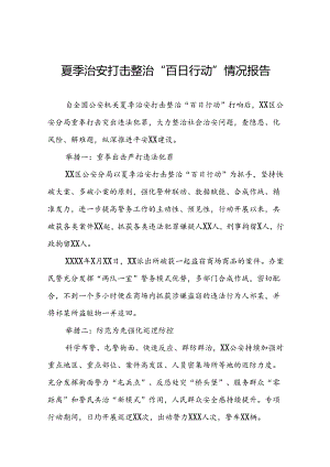 公安夏季治安打击整治“百日行动”工作总结(13篇).docx