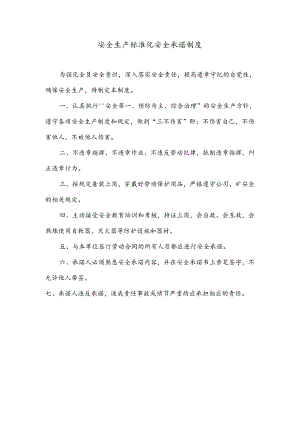 安全生产标准化安全承诺制度.docx