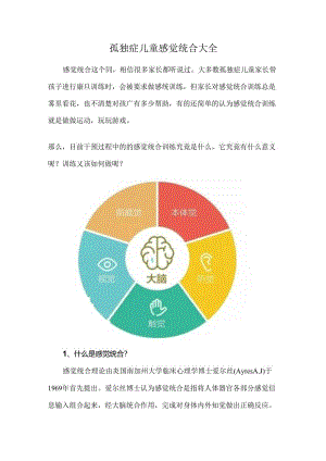 孤独症儿童感觉统合大全.docx