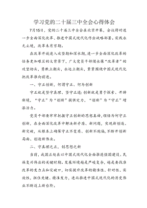 2024年学习学习党的二十届三中全会个人心得感悟 （汇编13份）.docx