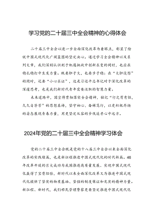 2024年党的二十届三中全会精神学习体会31篇.docx