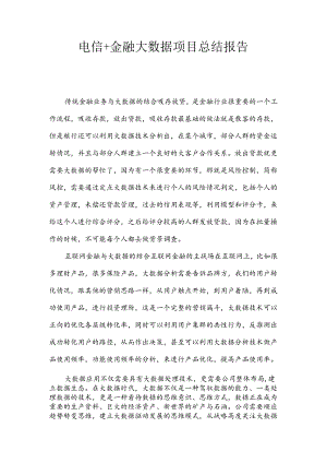 电信+金融大数据总结报告.docx