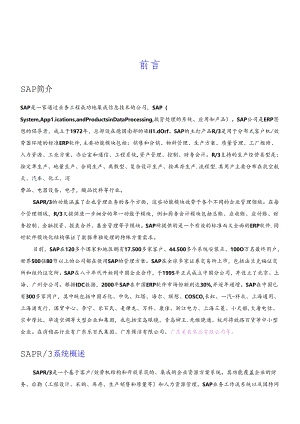 SAPR3系统概述.docx