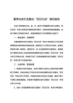 2024开展夏季治安打击整治“百日行动”工作总结(二十五篇).docx