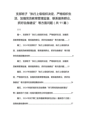（11篇）支部班子“执行上级组织决定、严格组织生活、加强党员教育管理监督、联系服务群众、抓好自身建设”等方面问题通用范文.docx