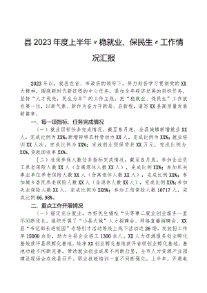 县2023年度上半年“稳就业、保民生”工作情况汇报.docx