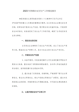2023年供销社安全生产工作情况报告.docx