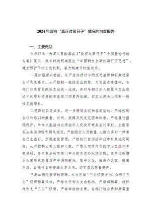 2024年政府“真正过紧日子”情况的自查报告（共5篇）.docx