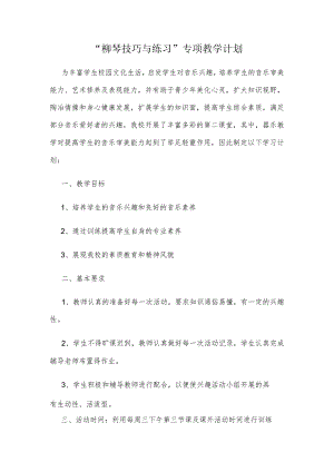“柳琴技巧与练习”专项教学计划.docx