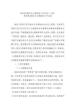 局党组2023年主题教育工作总结(二篇).docx