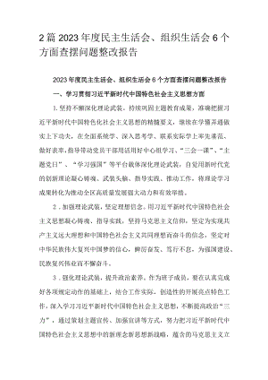 2篇2023年度民主生活会、组织生活会6个方面查摆问题整改报告.docx