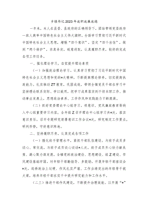 乡镇书记2023年述职述廉述德.docx
