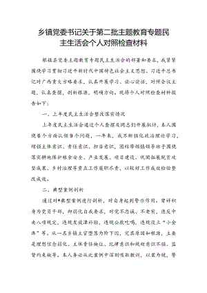 乡镇党委书记关于第二批主题教育专题民主生活会个人对照检查材料.docx