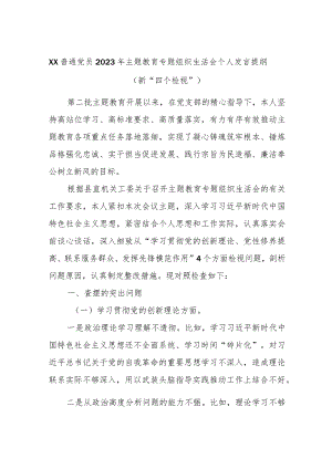 XX普通党员2023年主题教育专题组织生活会个人发言提纲（新“四个检视”）.docx