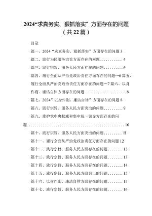 2024“求真务实、狠抓落实”方面存在的问题（共22篇）.docx