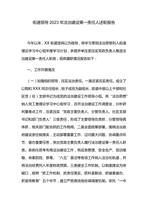 街道领导2023年法治建设第一责任人述职报告.docx