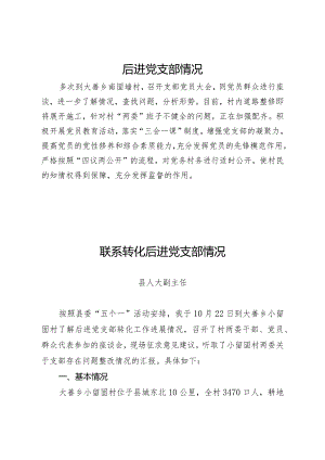 乡村振兴战略联系转化后进党支部情况.docx