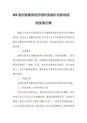 XX县村级集体经济组织实施补充耕地项目的实施方案.docx