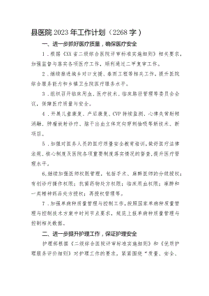 县医院2023年工作计划.docx