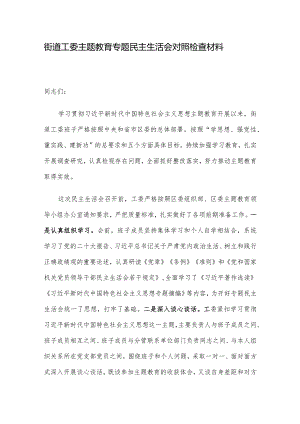 街道工委主题教育专题民主生活会对照检查材料.docx