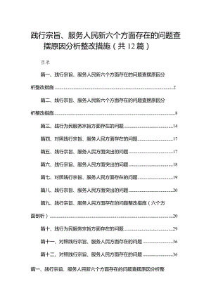 践行宗旨、服务人民新六个方面存在的问题查摆原因分析整改措施(12篇合集).docx