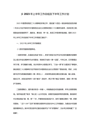 乡2023年上半年工作总结及下半年工作计划.docx