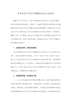 乡安全生产百日专项整治行动工作总结.docx