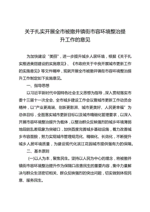 关于扎实开展全市被撤并镇街市容环境整治提升工作的意见.docx