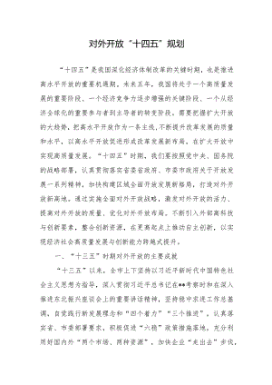 对外开放“十四五”规划.docx