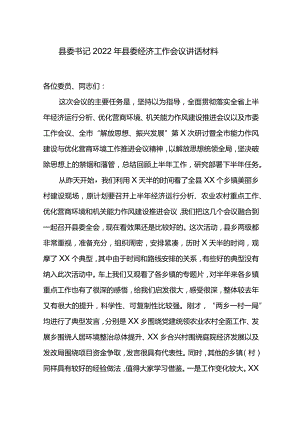 县委书记2022年县委经济工作会议讲话材料.docx