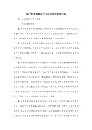 第二批主题教育工作总结范文集锦三篇.docx