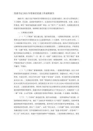 党委书记2023年度基层党建工作述职报告.docx