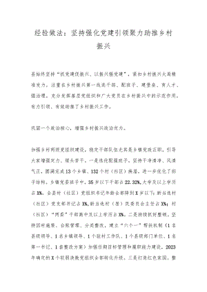 经验做法：坚持强化党建引领聚力助推乡村振兴.docx