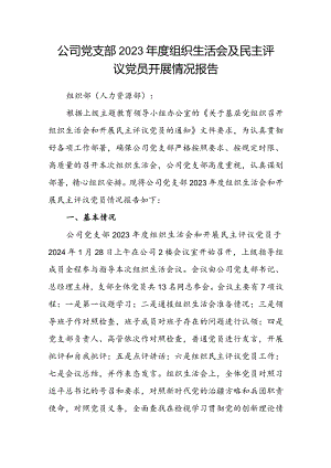 公司党支部2023年度组织生活会及民主评议党员开展情况报告.docx