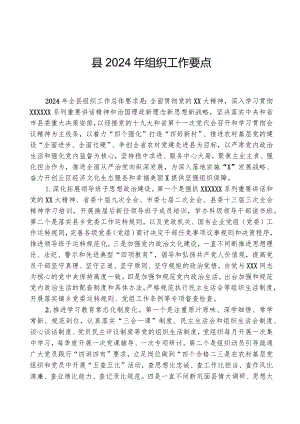 县2024年组织工作要点.docx