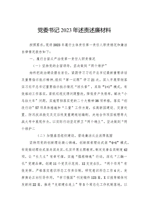 党委书记2023年述责述廉材料.docx