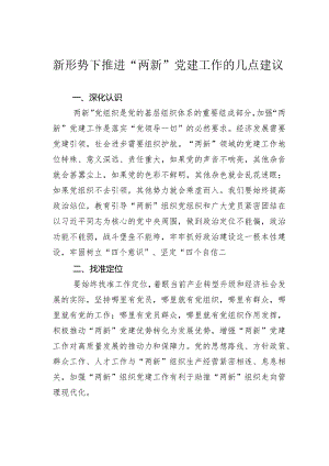 新形势下推进“两新”党建工作的几点建议.docx