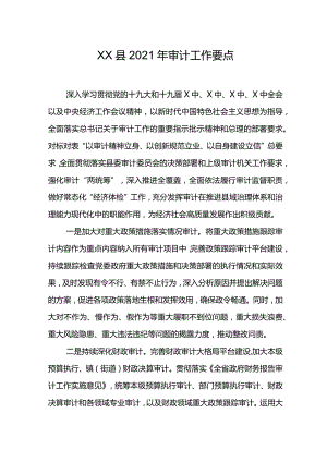 XX县2021年审计工作要点.docx