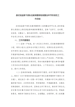 县纪检监察干部队伍教育整顿检视整治环节阶段性工作总结（共5篇）.docx